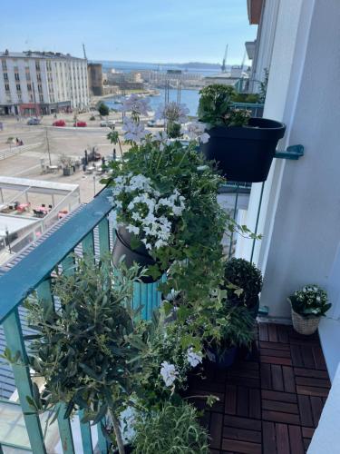 布雷斯特Le Siam的阳台种有盆栽植物,享有城市美景