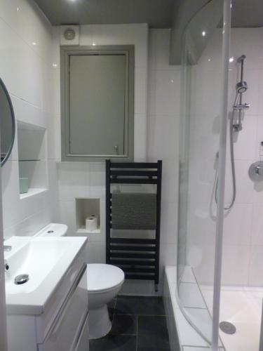 克里基厄斯Cadair Idris的浴室配有卫生间、盥洗盆和淋浴。