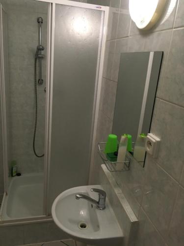 特尔乔夫Chalupa pod lipami的一间带水槽、淋浴和镜子的浴室