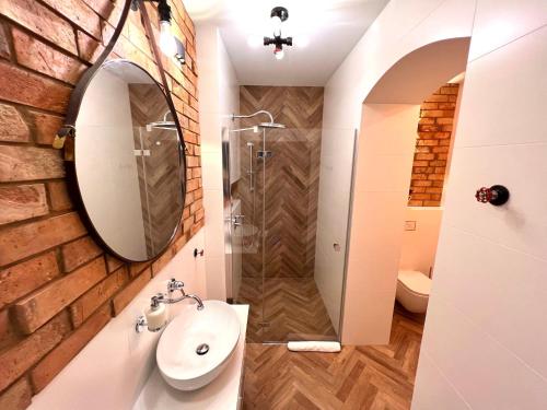 弗罗茨瓦夫Brick Castle - Apartament Ulrich的一间带水槽和淋浴的浴室