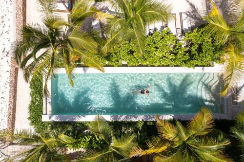 江比阿Passion Boutique Hotel Zanzibar - Adults Only的棕榈树泳池中游泳者的头顶景色