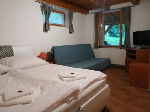 凯希道库什塔尼Flóra Apartmanok的一间卧室配有两张床、一张沙发和一台电视
