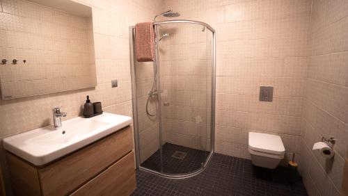 HulloVormsi Suvila的带淋浴、盥洗盆和卫生间的浴室