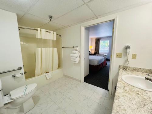 布兰森Celebrity Inn的一间带卫生间、水槽和床的浴室