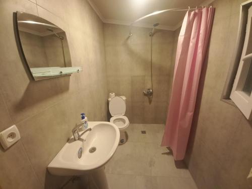 Zemo AlvaniVeli Guest House • საოჯახო სასტუმრო ველი的一间带水槽、卫生间和淋浴的浴室