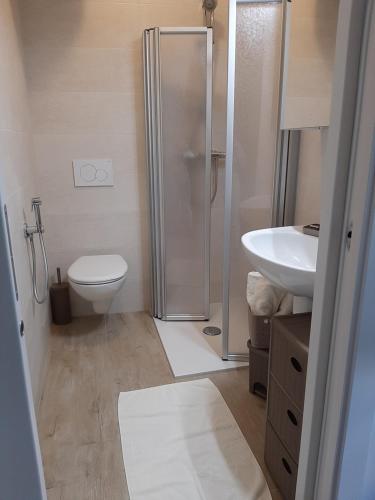 平佐洛PERNICI MOUNTAIN HOUSE的带淋浴、卫生间和盥洗盆的浴室