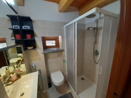ChampdeprazAcero Rosso的带淋浴、卫生间和盥洗盆的浴室