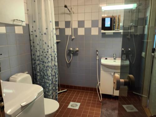 沃卡蒂Puistokatti Apartment的带淋浴、卫生间和盥洗盆的浴室