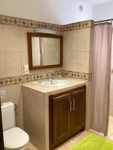 维琪奥港菲奥里迪圣朱利亚酒店的一间带水槽、卫生间和镜子的浴室