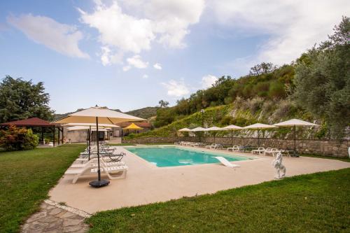 AlianoIl Paesaggio Lunare的游泳池旁设有椅子和遮阳伞,旁边还有一只狗