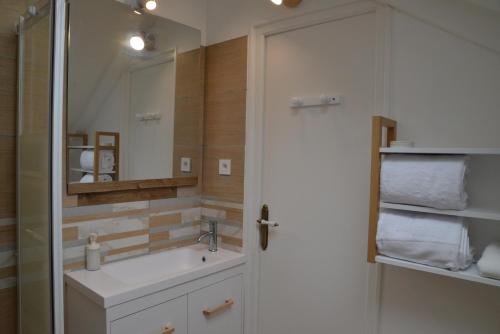 卢瓦尔河畔默恩DNJ Appart Hotel的一间带水槽和镜子的浴室