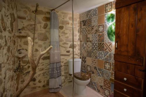 PetrokefaloDioni Stone House的一间带卫生间和玻璃淋浴间的浴室
