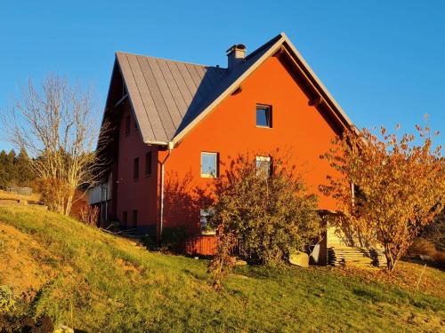 HerrischriedBlackforest Homestay的山边的橙色房子