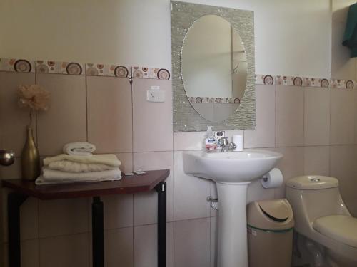 洛哈El Cardenal Hotel的一间带水槽、镜子和卫生间的浴室