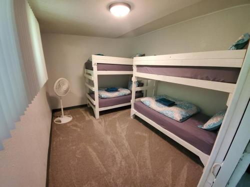 芒廷维尤Fern Acres Bed and Breakfast的小型客房配有两张双层床和风扇。