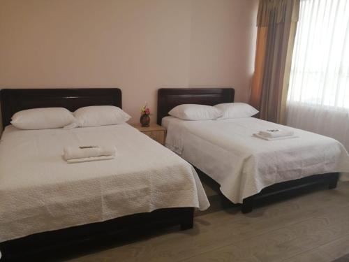 弗朗西斯科德奥雷利亚纳港Hotel Torre Orquídea的卧室内两张并排的床