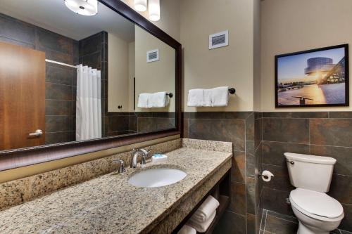 克利夫兰克利夫兰市中心德鲁里广场酒店的一间带水槽、卫生间和镜子的浴室