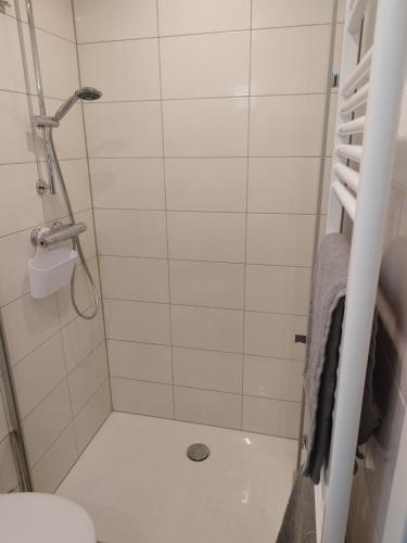 诺德豪森Ferienwohnung Bianca的带淋浴和卫生间的小浴室