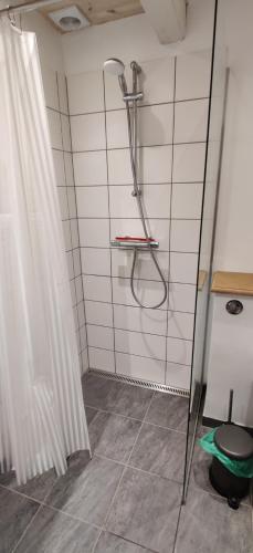 NyordRagnhilds Gård, Hostel的带淋浴和浴帘的浴室