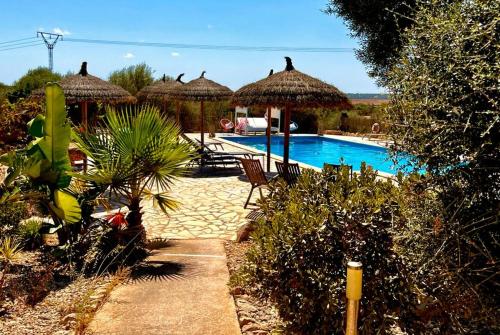 桑坦伊Finca Es Velar的度假村旁的游泳池配有遮阳伞和椅子