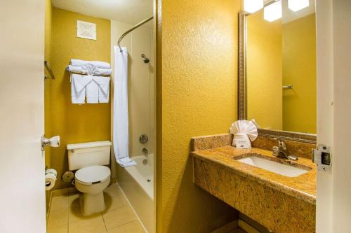 奥兰多Comfort Inn & Suites Kissimmee by the Parks的一间带卫生间和水槽的浴室