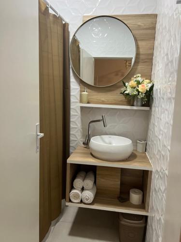 Nova PazovaDvoriste Danguba的一间带水槽和镜子的浴室