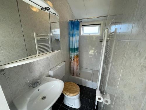 SchoorldamRekerlanden 253的浴室配有卫生间、盥洗盆和淋浴。
