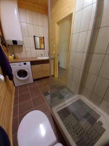 VidzemeRūnēnu zāļu namiņš的一间带卫生间和淋浴的小浴室