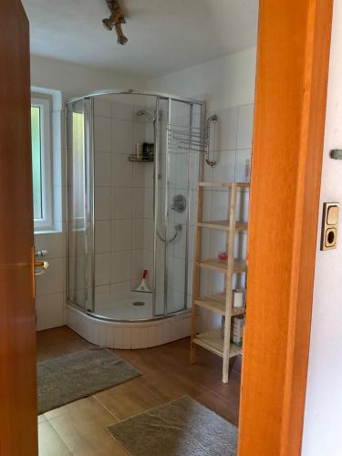 绍滕斯Komfortable Ferienwohnung mit herrlicher Aussicht的带淋浴的浴室
