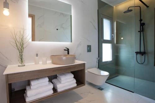 尼基亚娜villa-agrielia的一间带水槽、卫生间和淋浴的浴室