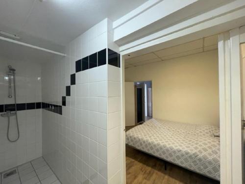 赫龙洛Cosy apartment in the centre of fortified town Groenlo的一间卧室配有一张床和淋浴