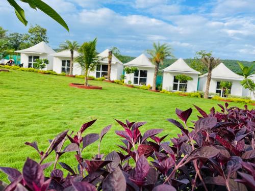 塞恩Tamboo Resort Vajreshwari的一排种满棕榈树和绿草的白色房屋