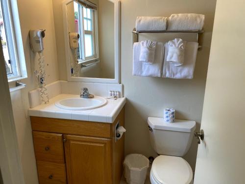 太平洋丛林彼威别墅旅馆的一间带水槽、卫生间和镜子的浴室
