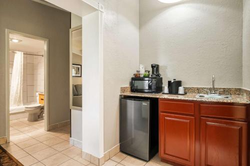 Cascade西佳热情酒店及套房的厨房配有水槽和带微波炉的台面。