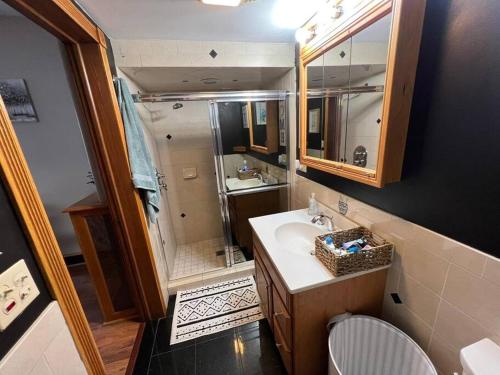 斯克兰顿4 bedrooms & 2 bathrooms “Dhanu’s place”的一间带水槽和淋浴的浴室