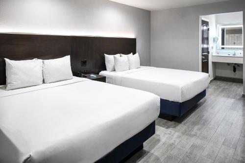 英格尔伍德洛杉矶国际机场好莱坞快捷酒店的酒店客房带两张床和一间浴室