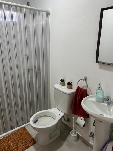 派桑杜Apart del Este 2的带淋浴、卫生间和盥洗盆的浴室