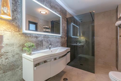 普雷代亚尔Iris Predeal的一间带水槽和淋浴的浴室