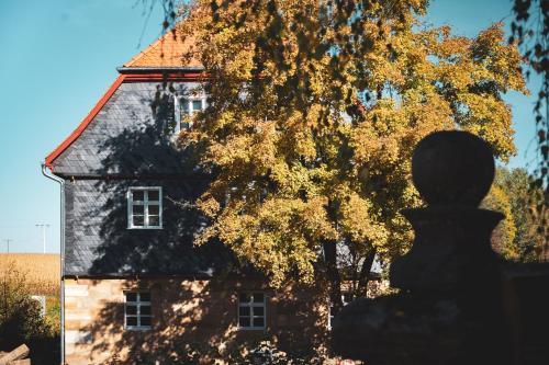 MainleusOchsenhof的前面有一棵树的老房子