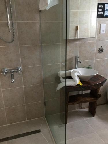 安塞罗亚莱Bougainvillas Seychelles的一间带水槽和淋浴的浴室