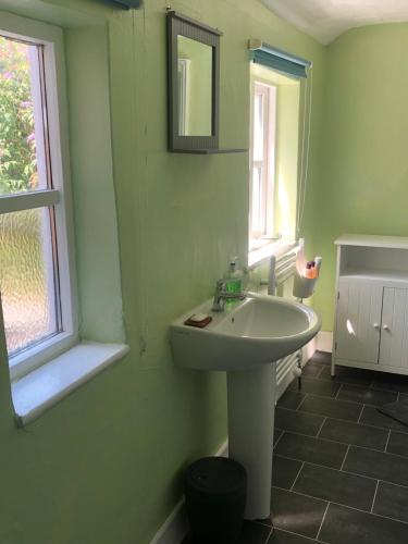 布里德波特The Victorian House的一间带水槽和镜子的浴室以及窗户。