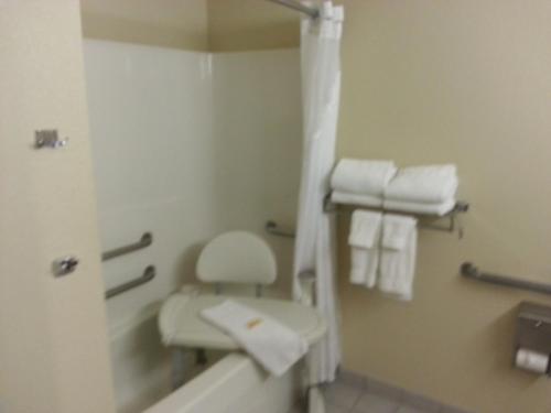 悉尼悉尼乡村酒店及套房的浴室设有卫生间和带毛巾的淋浴。