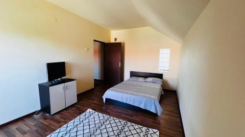 蒂米什瓦拉Casa Vio的一间卧室配有一张床和一台电视