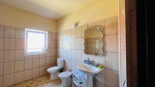 蒂米什瓦拉Casa Vio的一间带水槽、卫生间和镜子的浴室