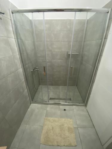 扎耶查尔Apartmani Home的淋浴间设有玻璃门和地毯