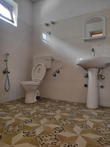 DeskitBuddha guest House nubra的一间带卫生间和水槽的浴室
