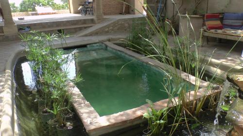 索维拉Slow Luxury at the Serai的花园中的一个绿色小池