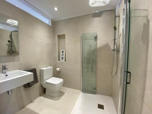 泰纳布鲁厄赫Hugmish的带淋浴、卫生间和盥洗盆的浴室