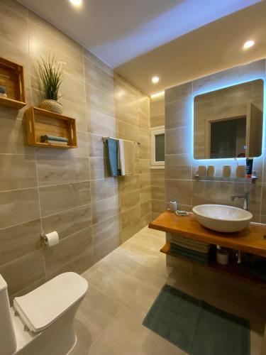 尼坡帝Villa Olymp的一间带水槽、卫生间和镜子的浴室