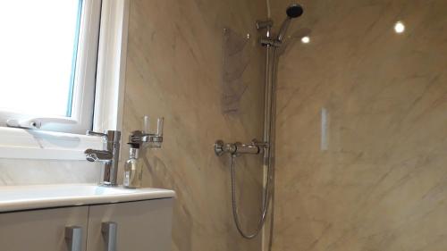 朗塞斯顿Rowan - Luxury Pod at Trewithen Farm Glamping的带淋浴的浴室,浴室设有玻璃淋浴间,位于后门